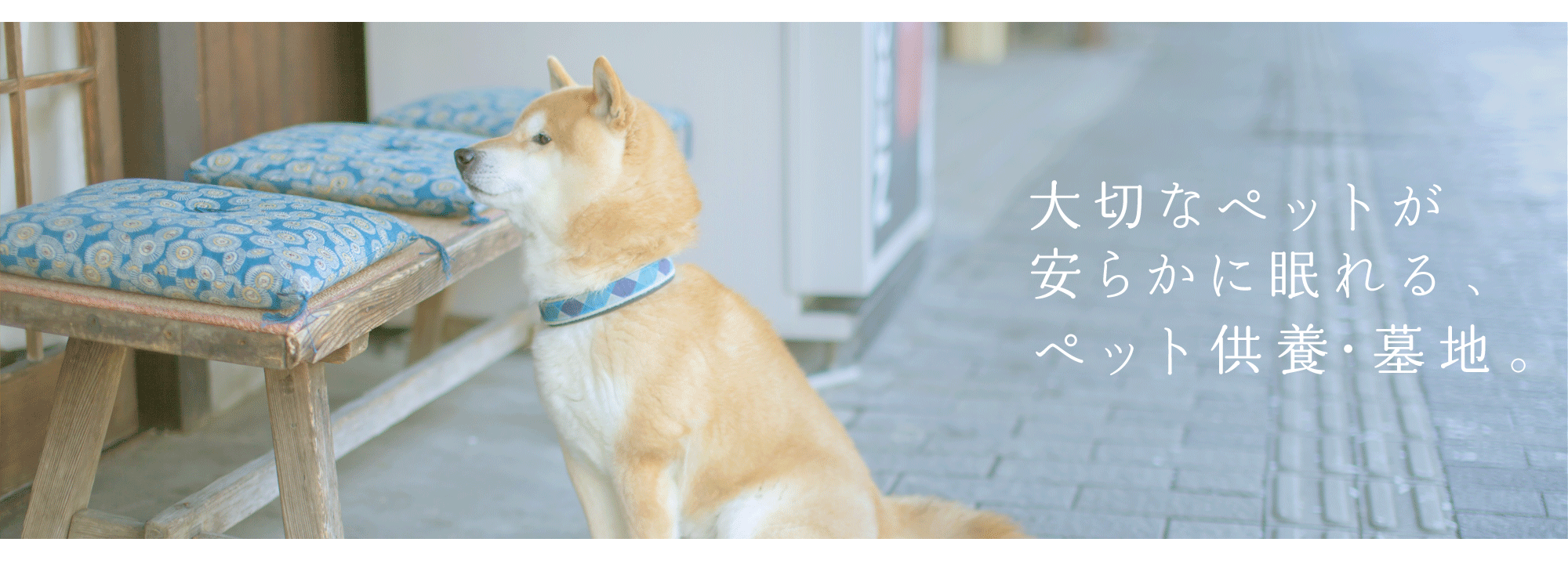 大切なペットが安らかに眠れる、ペット供養・墓地。ペット供養・墓地について
